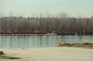 9. C-FIKO Pitt Meadows - Night CFIT - South View from Float Dock