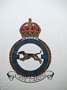 49 Squadron Crest